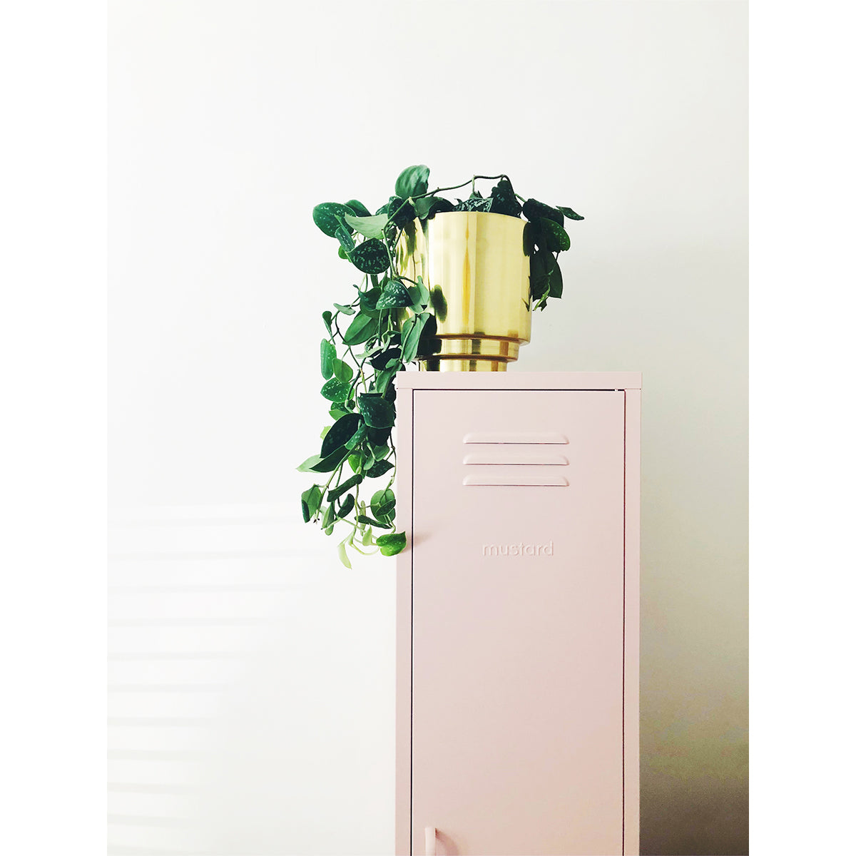 The Skinny Locker