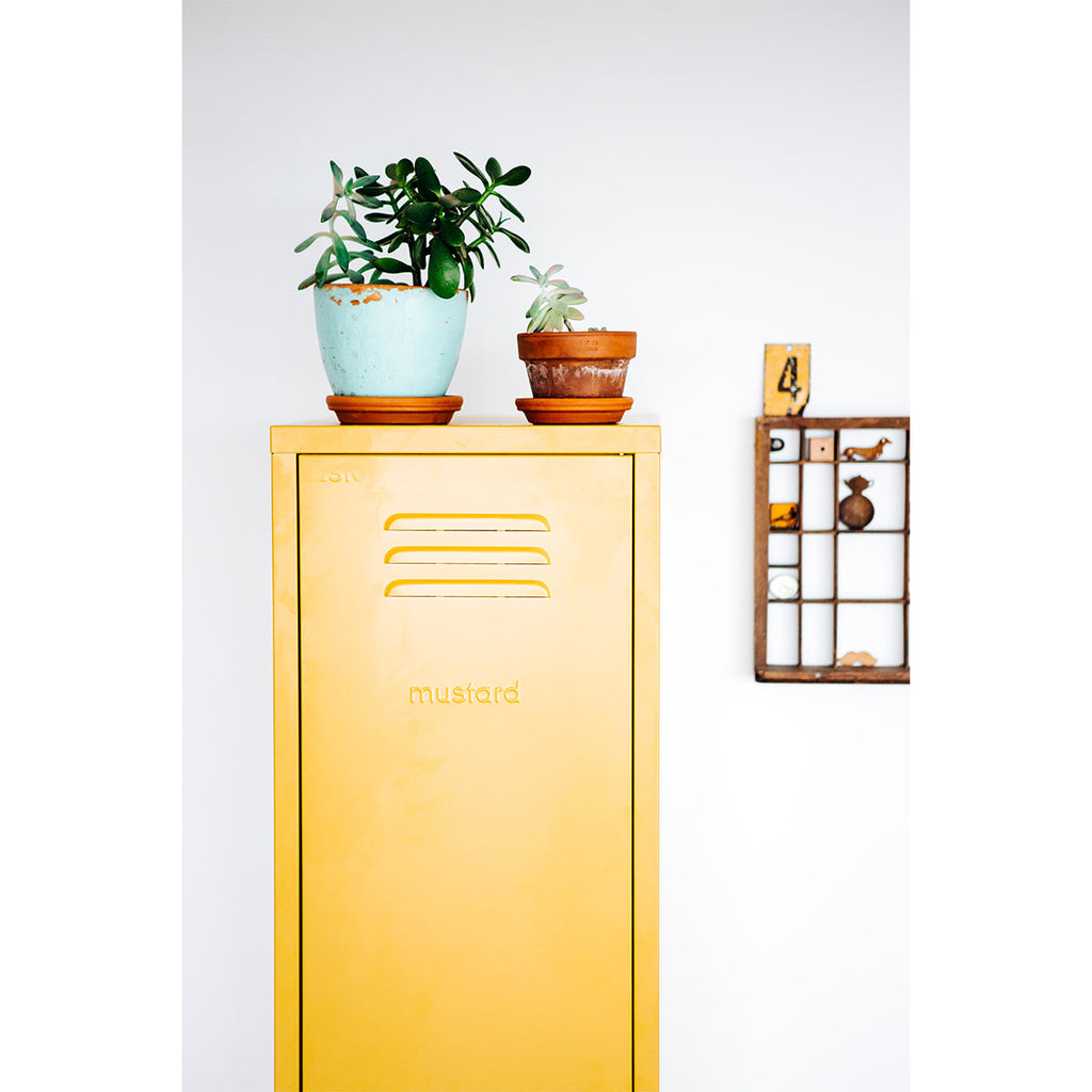 The Skinny Locker