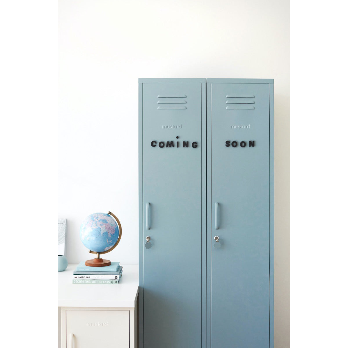 The Skinny Locker
